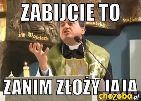 Zabijcie to
