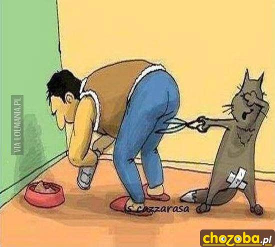 Jak Kuba kotu...