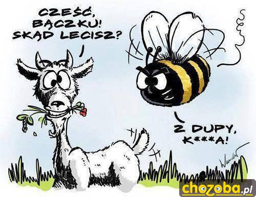 Skąd lecisz ?
