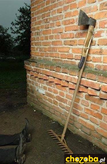 Grabie z niespodzianką