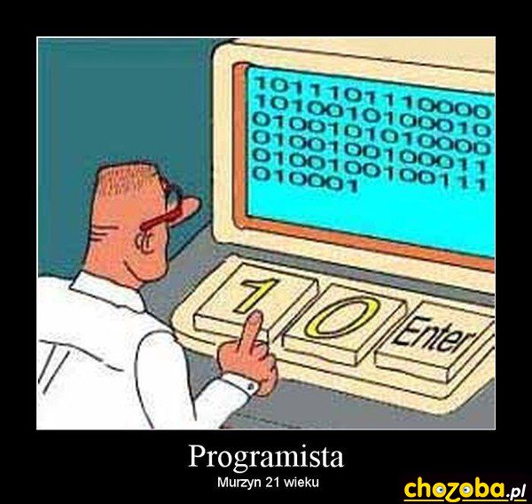 Programista