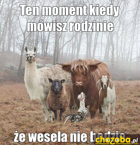 Rozczarowanie