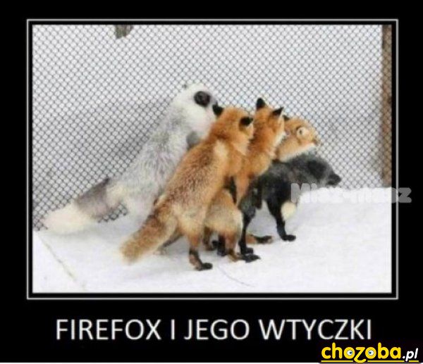 Wtyczki w firefox'ie 