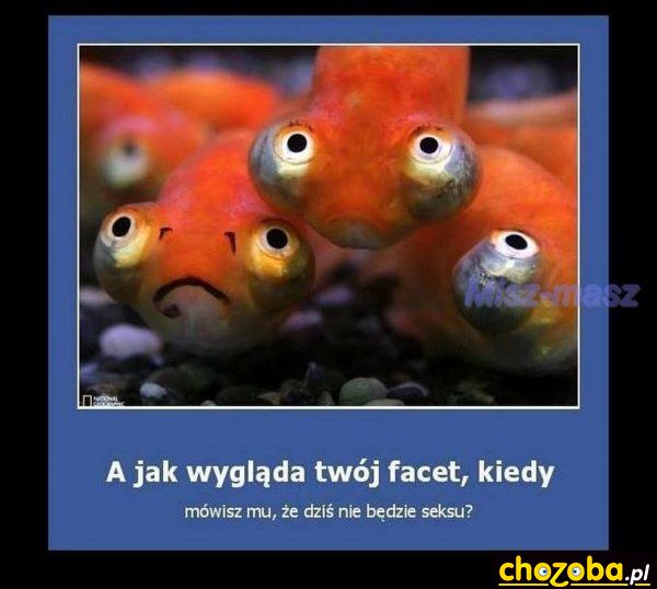 Szlaban na sex