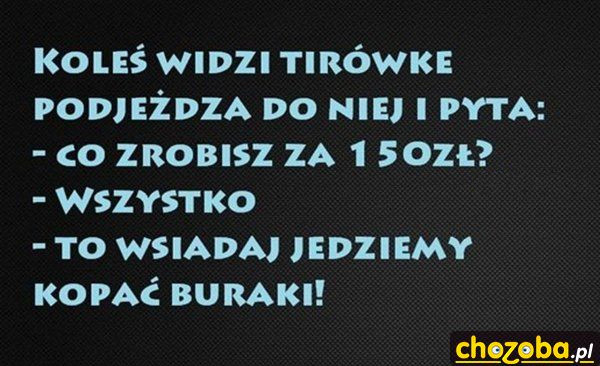Pytanko