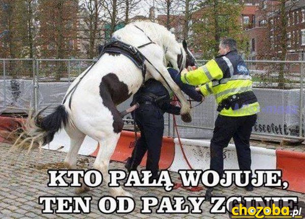 Kto pałą wojuje 