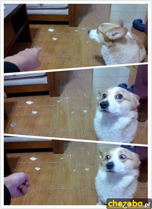 To nie ja