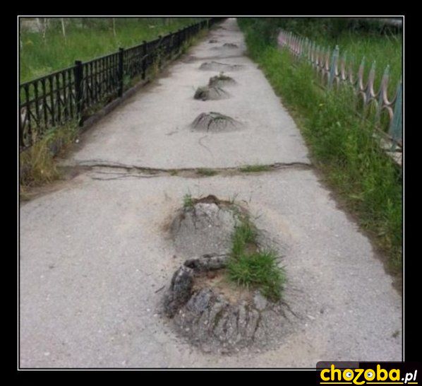 Ruski kret