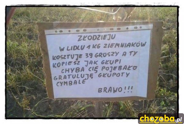 Złodzieju