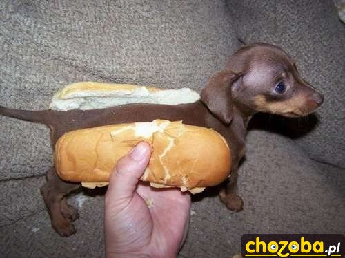 Hot-Dog