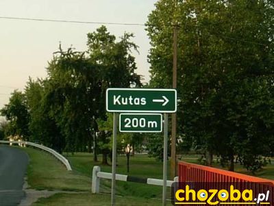 Jaki długi