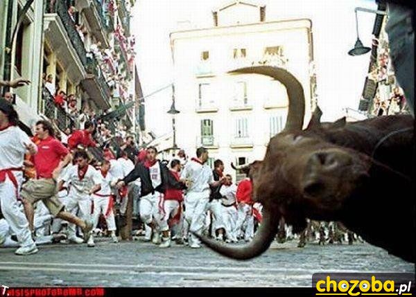 Muuu