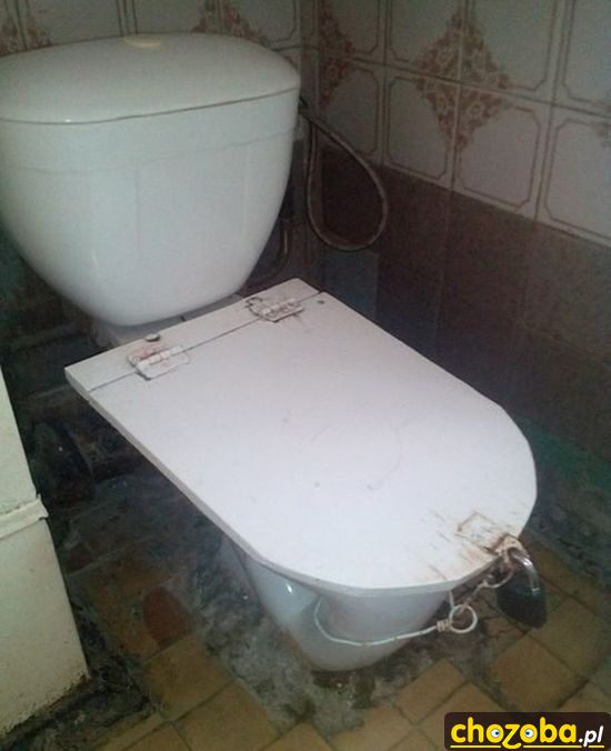 Nie ma srania