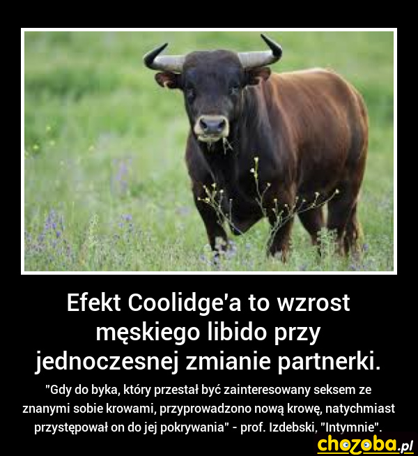 Viagra zbędna