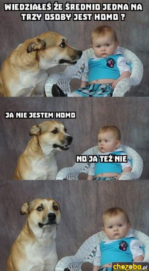 Homo