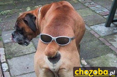 Obserwuje cię z każdej strony