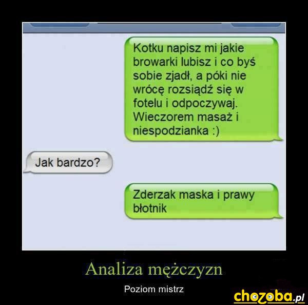 Mistrzowska analiza