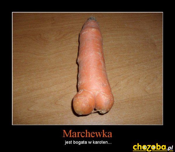 Marchewka
