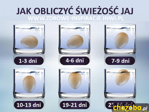 Jak obliczyć świeżość jaj.