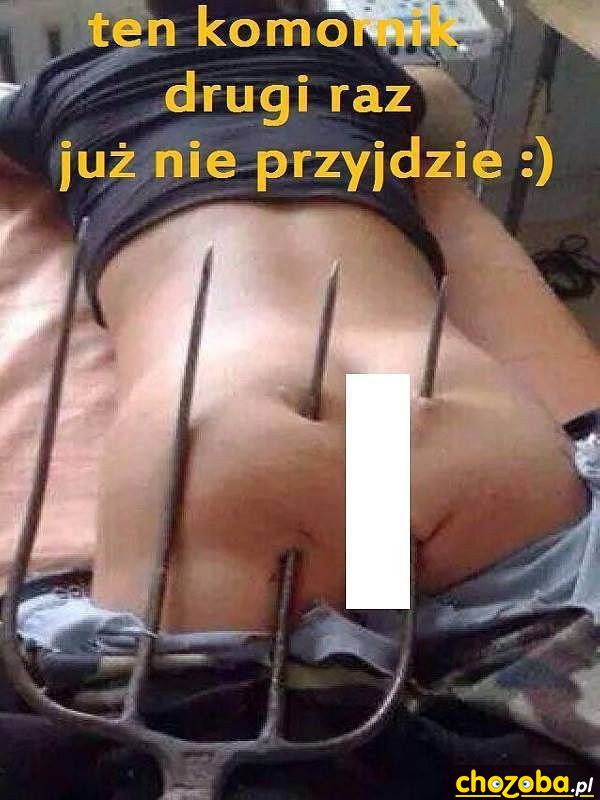 Widły