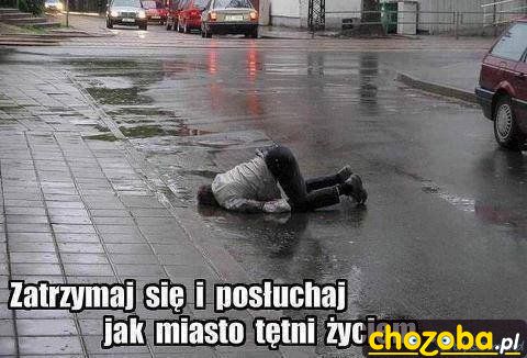 Zatrzymaj się i posłuchaj...