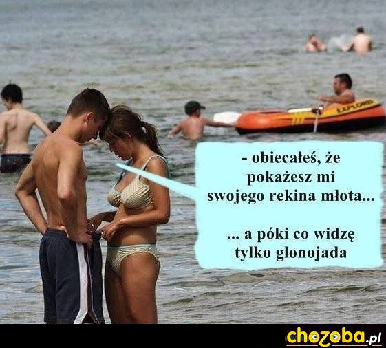 Glonojad
