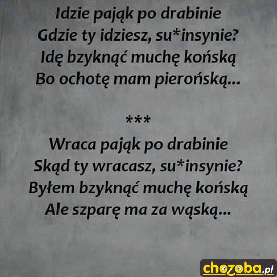 Pająk po drabinie
