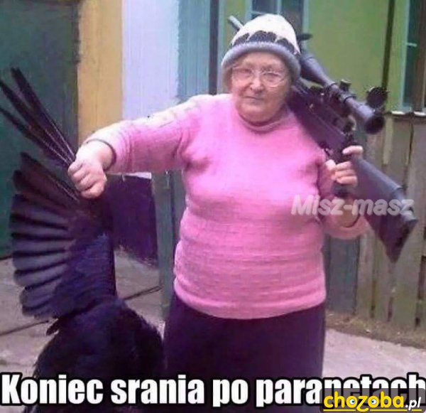 Koniec srania po parapetach