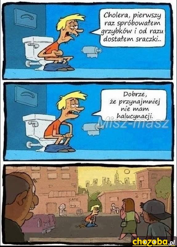Grzybki