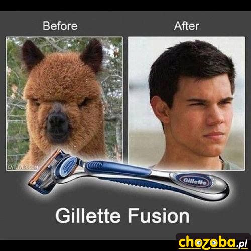 Gillette fusion