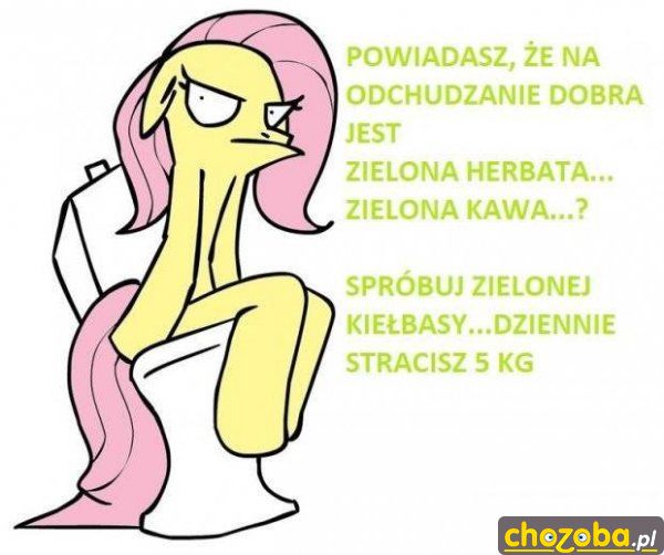 odchudzanie