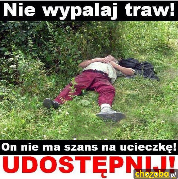 Nie wypalaj trawy