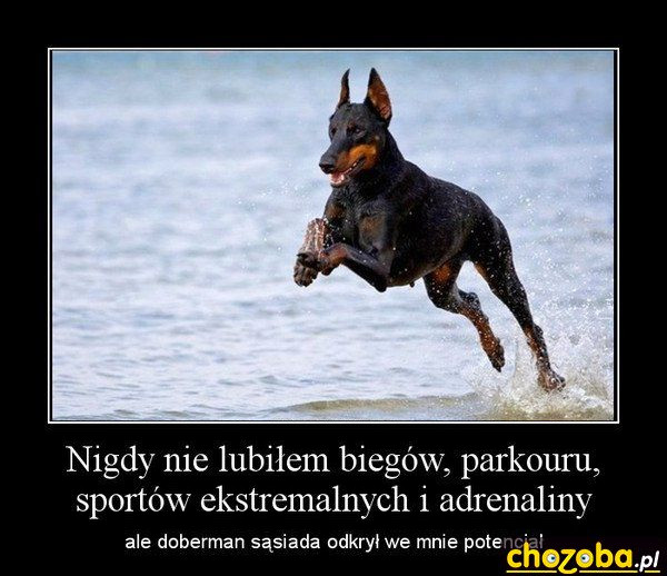 Potencjał