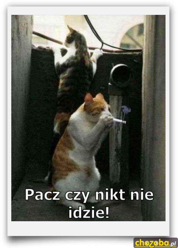 Za garazami..