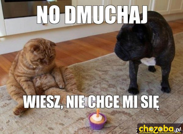 Dmuchaj
