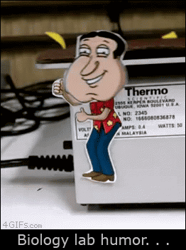 Humor w laboratorium
