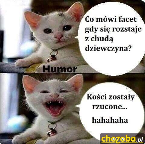 Kości zostały rzucone