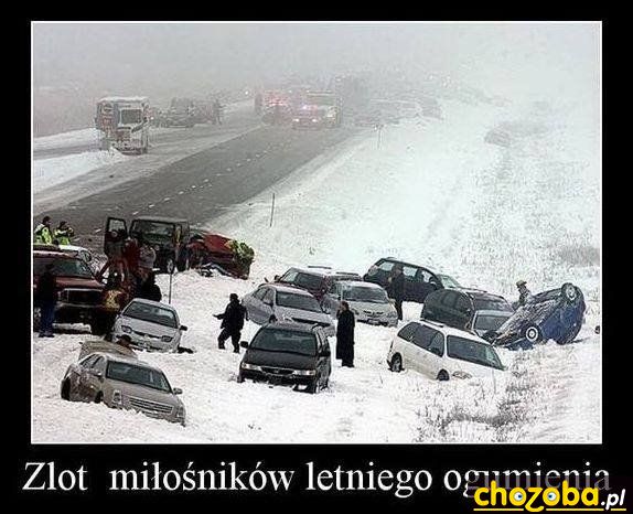 Zlot 