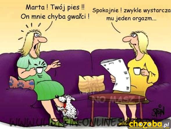 Piesek