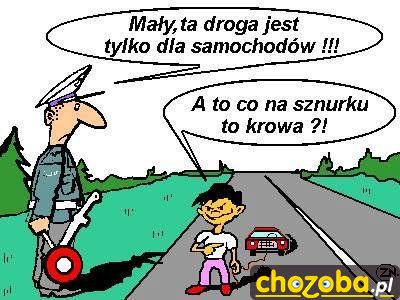 Krowa