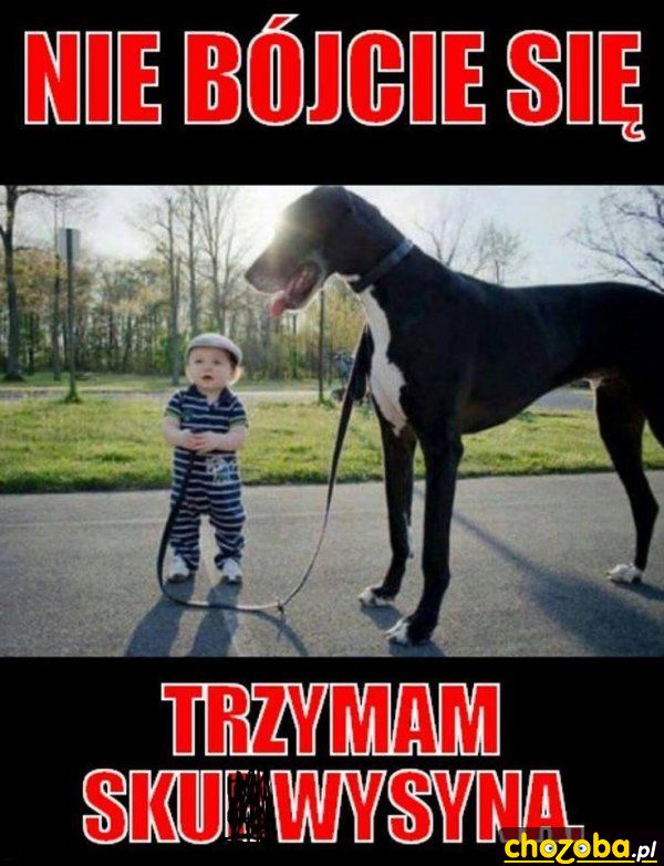 Nie bój się