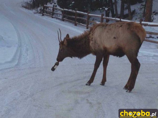 Zimą na rozgrzewkę