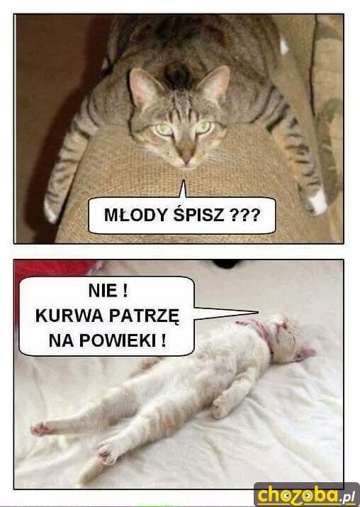 Śpisz?