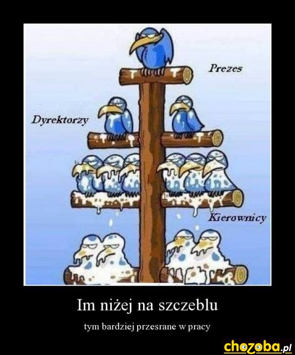 Na szczeblu