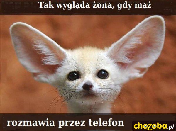 Żona