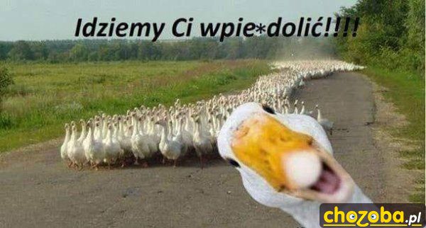 Idziemy ci wpierdolić!