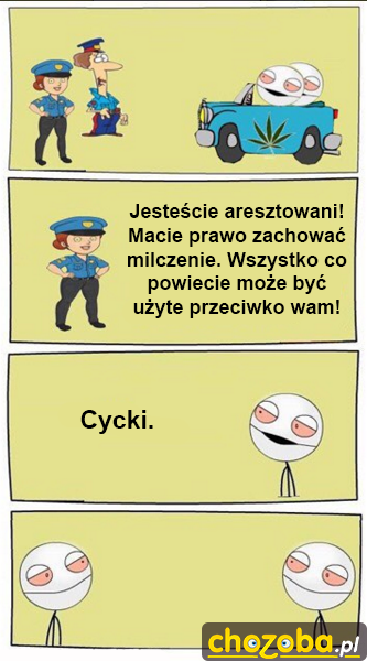Cycki