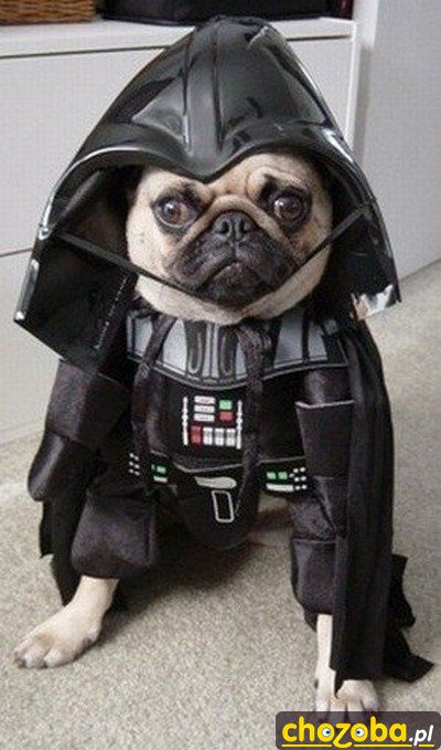 Dog Vader