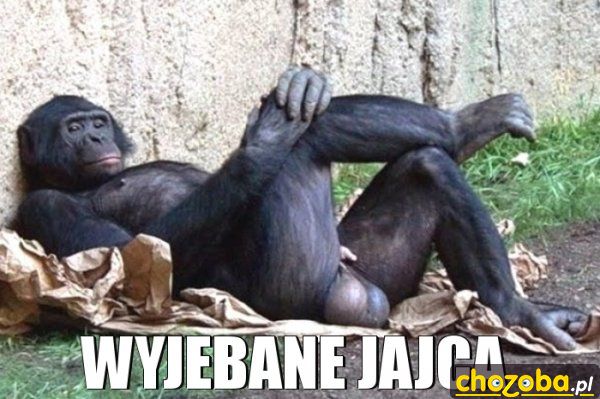 Wyjebane mam