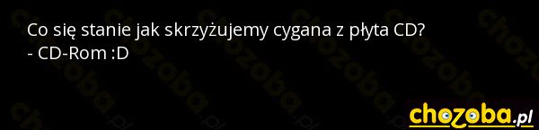 Krzyżówka